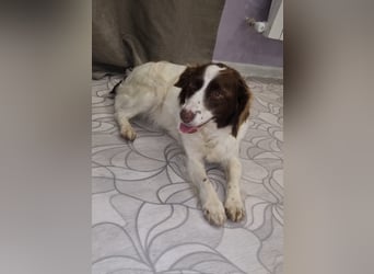 Hübsche ELZA sucht ihr Zuhause!