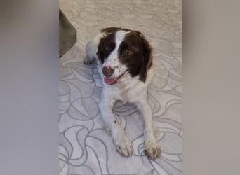 Hübsche ELZA sucht ihr Zuhause!