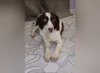 Hübsche ELZA sucht ihr Zuhause!