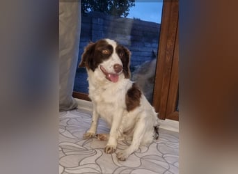 Hübsche ELZA sucht ihr Zuhause!
