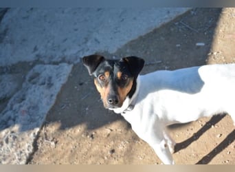 ❤️ PITUFO ❤️