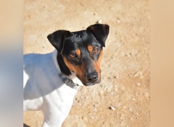 ❤️ PITUFO ❤️