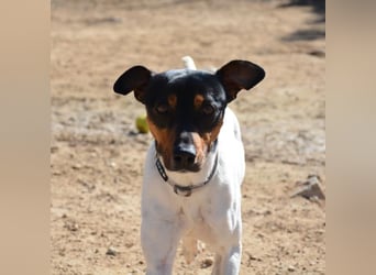 ❤️ PITUFO ❤️