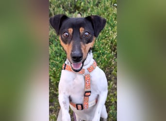 ❤️ PITUFO ❤️