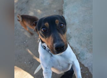 ❤️ PITUFO ❤️