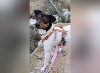 ❤️ PITUFO ❤️