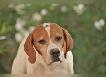 Möchtest du Polu der sichere Hafen sein, in dem er zur Ruhe kommen darf?