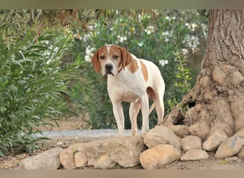 Möchtest du Polu der sichere Hafen sein, in dem er zur Ruhe kommen darf?