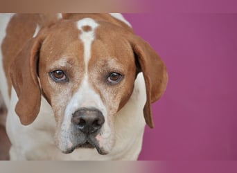 Möchtest du Polu der sichere Hafen sein, in dem er zur Ruhe kommen darf?