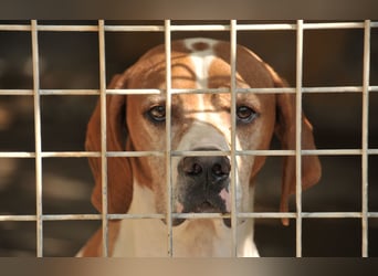 Möchtest du Polu der sichere Hafen sein, in dem er zur Ruhe kommen darf?