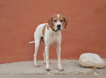 Möchtest du Polu der sichere Hafen sein, in dem er zur Ruhe kommen darf?