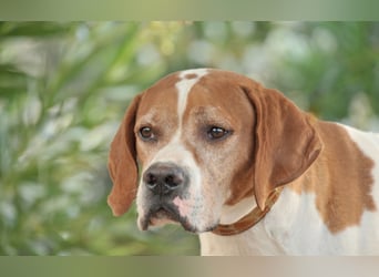 Möchtest du Polu der sichere Hafen sein, in dem er zur Ruhe kommen darf?