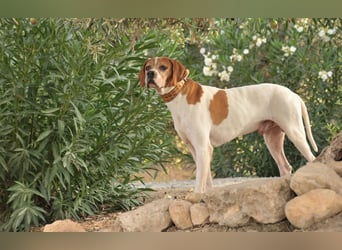 Möchtest du Polu der sichere Hafen sein, in dem er zur Ruhe kommen darf?