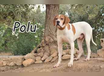 Möchtest du Polu der sichere Hafen sein, in dem er zur Ruhe kommen darf?