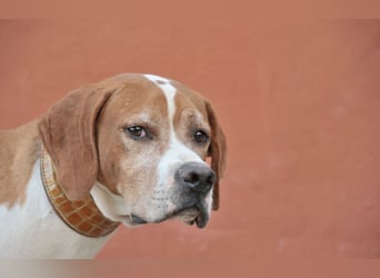 Möchtest du Polu der sichere Hafen sein, in dem er zur Ruhe kommen darf?