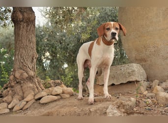 Möchtest du Polu der sichere Hafen sein, in dem er zur Ruhe kommen darf?