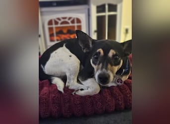 Kevin (TO) lebhaft und verspielt