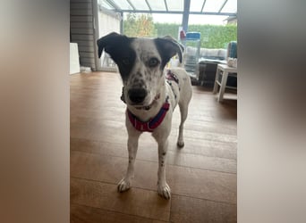 Lotti sucht ihr Zuhause