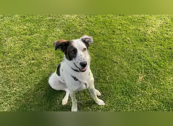 Lotti sucht ihr Zuhause