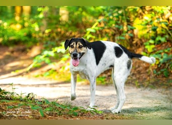 Dringend neue Pflegestelle, gerne Endstelle gesucht