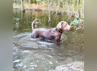 Lia - die Wasserratte