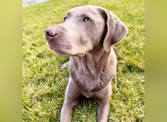 Lia - die Wasserratte