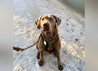 Lia - die Wasserratte