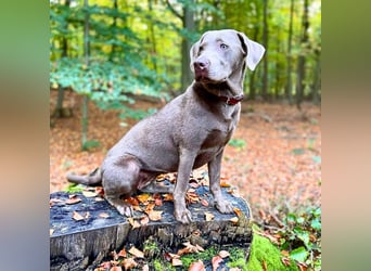 Lia - die Wasserratte