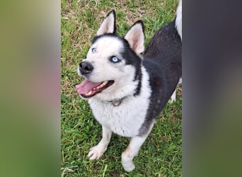 Herceg ( * 03 / 2021 ) sucht seine Familie