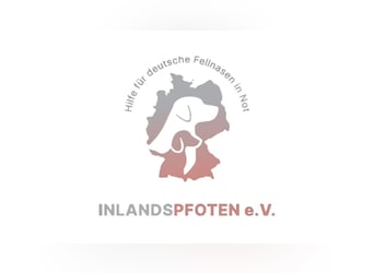 Pflegestellen & Helfer dringend gesucht!