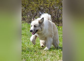 Sheila will liebe und Zuneigung