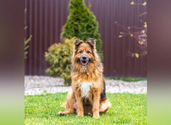 Bekommt Rakhat eine 2.Chance?!