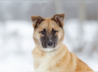 Zuckersüße Rada sucht liebe Familie