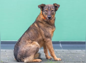 Marquise sucht liebevolle Menschen