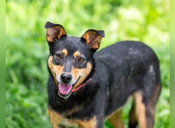 Ruhige Mulya sucht dich ...