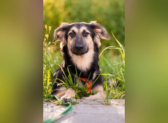 Der mutige Philip sucht seine Menschen