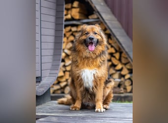 Bekommt Rakhat eine 2.Chance?!