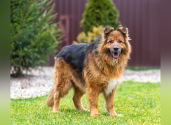 Bekommt Rakhat eine 2.Chance?!