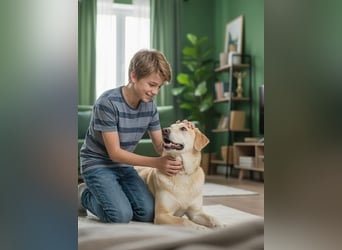 Ulan, weiches Herz wartet auf einen tollen Besitzer