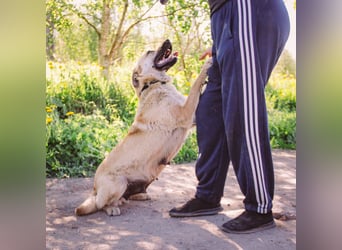 Wunderschöne Linda sucht