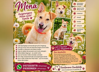 Ausgewogene Mona sucht Familie