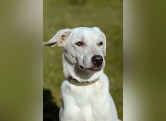 Lilit Taub durch die Welt , aber mit viel Liebe