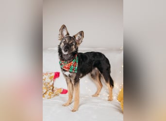 Verzaubert dich die kleine Lisa ?!