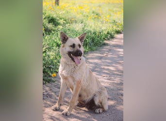 Wunderschöne Linda sucht