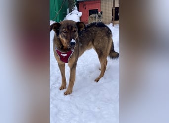 Marquise sucht liebevolle Menschen