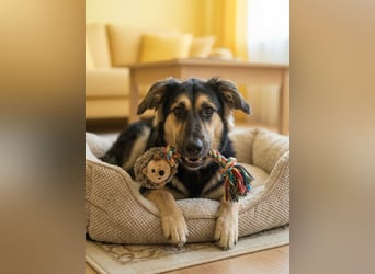 Der mutige Philip sucht seine Menschen