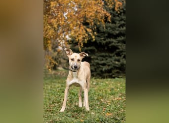 Kai sucht Menschen zum lieben