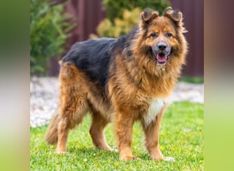 Bekommt Rakhat eine 2.Chance?!