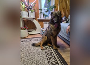 Ein Herz für Vasilisa geben Sie ihr eine Chance auf ein glückliches Leben!