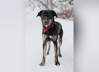 Odin sucht End platz!!!